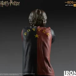 Statue Harry Potter - Harry Potter - Bds Art Scale 1/10 - Iron Studios